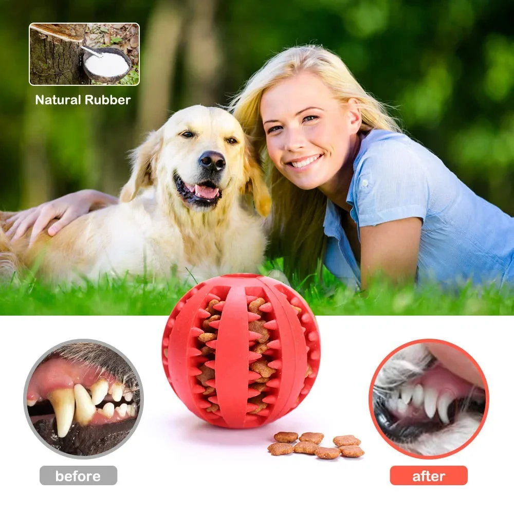 The Interactive Rubber Ball for Chewing and Pet Tooth Cleaning